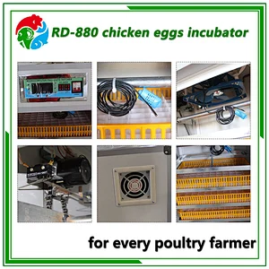 880 chicken egg incubator