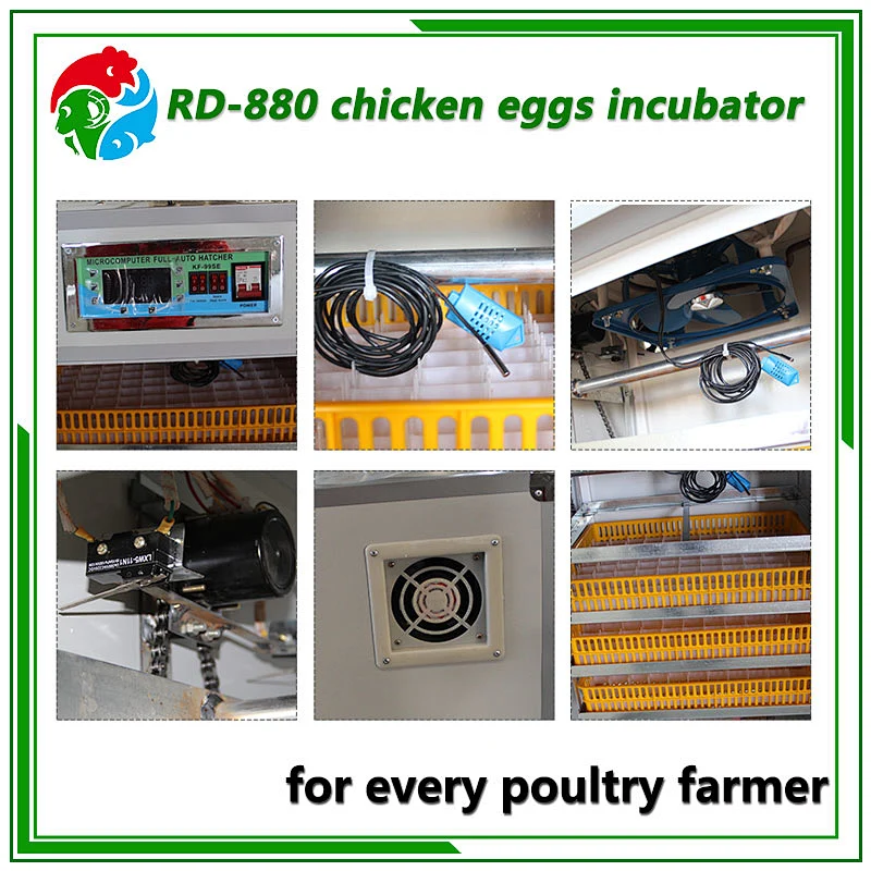 880 chicken egg incubator