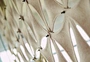 polyester screen
