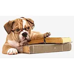 Feeding methods for dogs at different growth stages