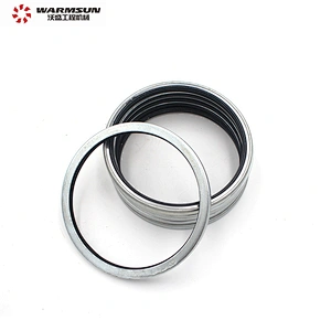HBT80C 60044257 Concrete Pump Spare Parts Dust Seal Ring