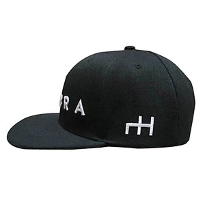 Custom Flat Brim 3D/raised Embroidery Snapback Cap/Hat