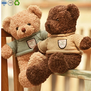 Teddy bear gift for valentine