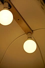two bulbs cover lamp