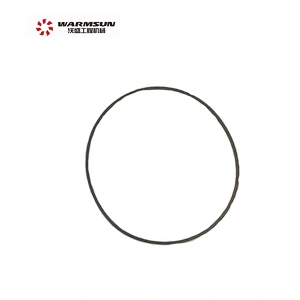Black B230101001489 Rubber Oil Seal 9028.239.000 Reach Stacker Spare Parts