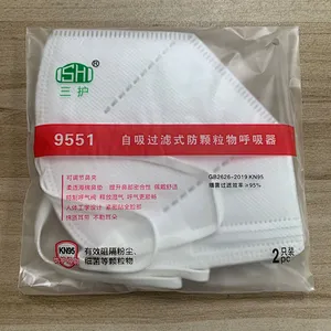 KN95 Disposable Face Mask 9551