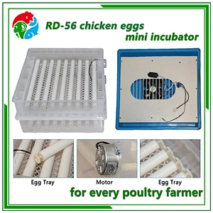 Mini Egg Incubator