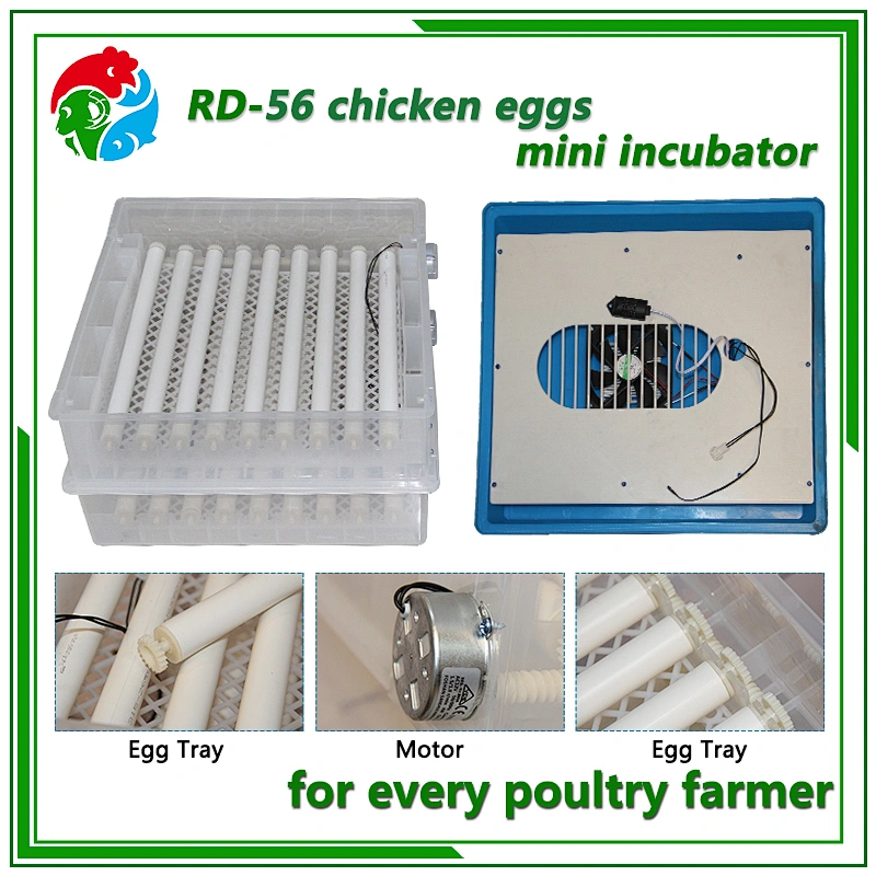 Mini Egg Incubator