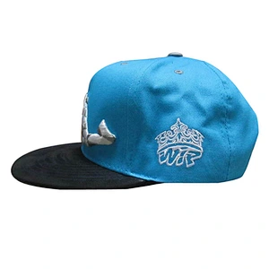 front special 3D embroidery flat size snapback hat