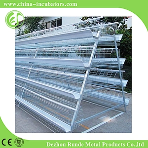 Chicken Cage