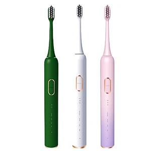 S880 Sonic Toothbrush