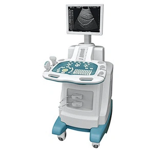 Digital Trolley Ultrasound Scanner with one 3.5HZ convex probe