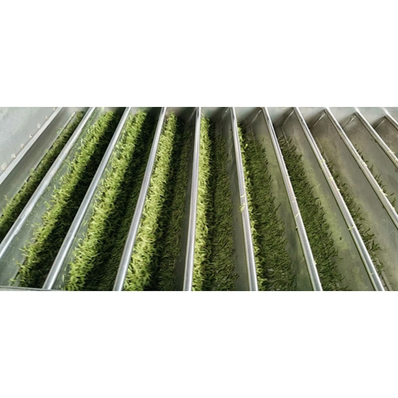 Tea leaf rolling machine