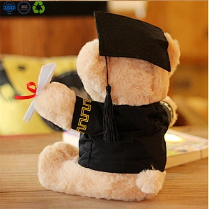 Teddy Bears for Class of 2021 Graduation Gift