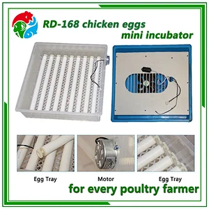 Mini Egg Incubator