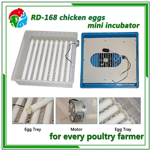 Mini Egg Incubator