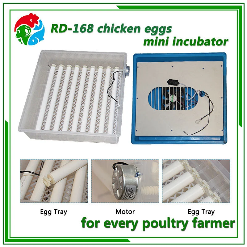 Mini Egg Incubator
