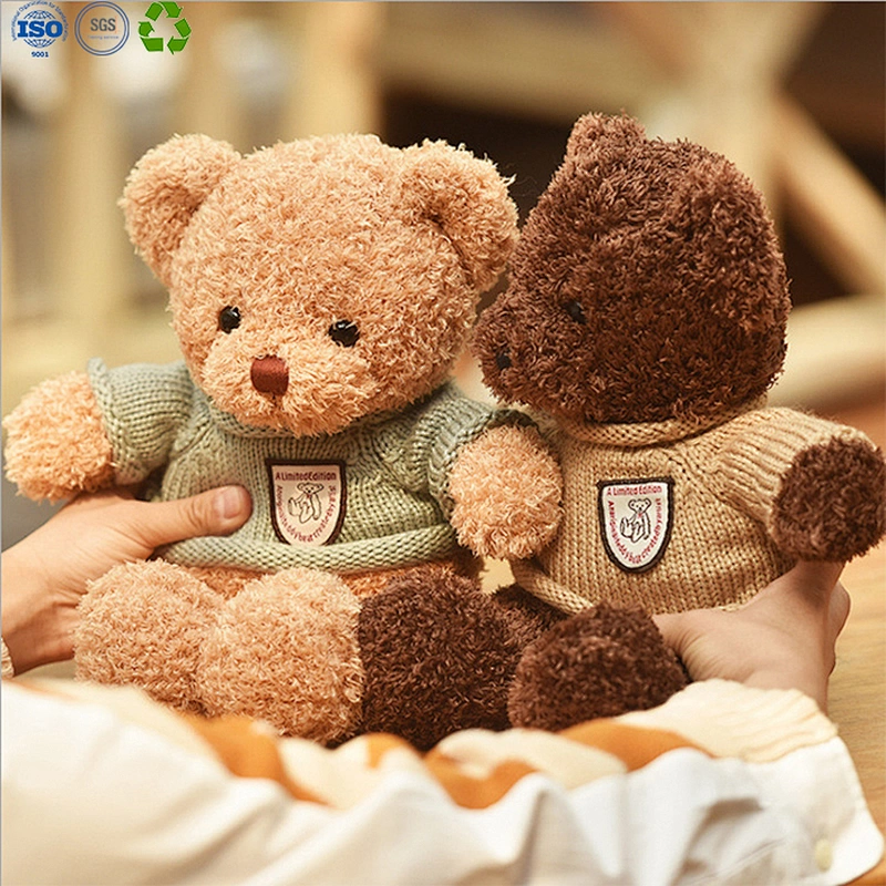 Teddy bear gift for valentine