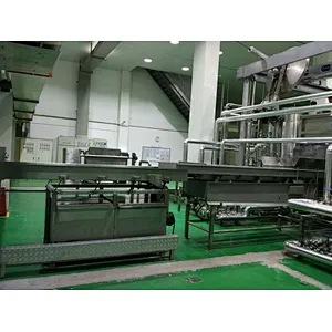 CV-FX Flexible vibrating conveyor