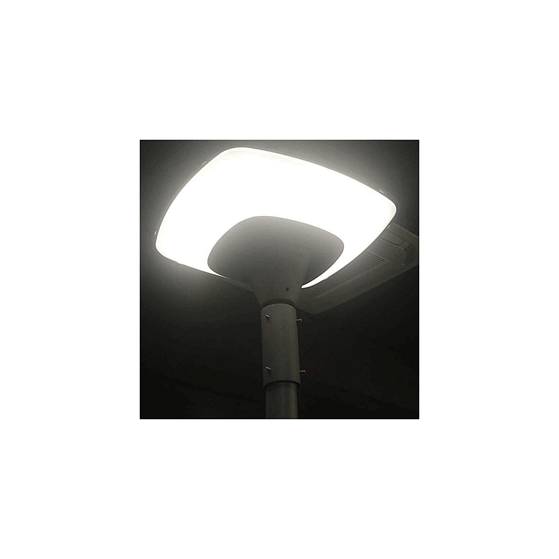 Solar Garden Light