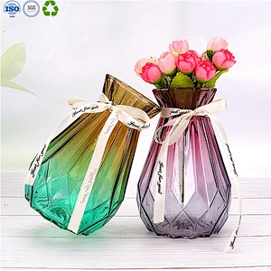 Glass vase for home decoration