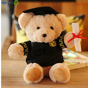 Teddy Bears for Class of 2021 Graduation Gift
