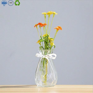 Glass vase for home decoration