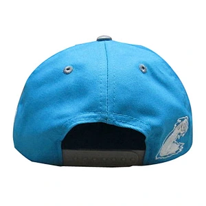 front special 3D embroidery flat size snapback hat
