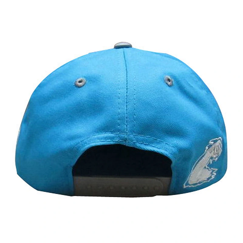 front special 3D embroidery flat size snapback hat