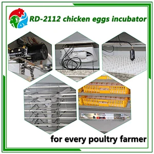2112 chicken egg incubator