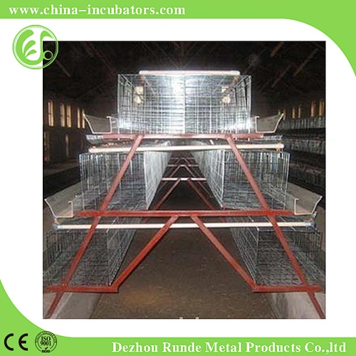 Chicken Cage