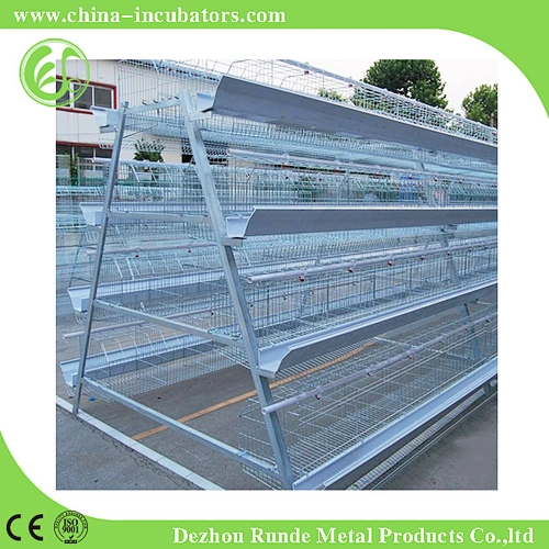 Chicken Cage