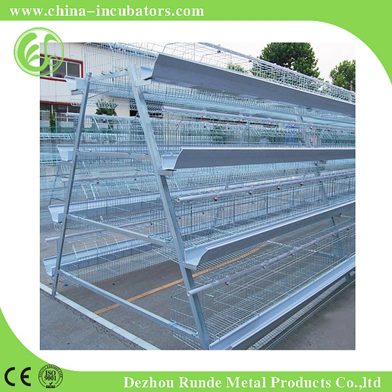 Chicken Cage