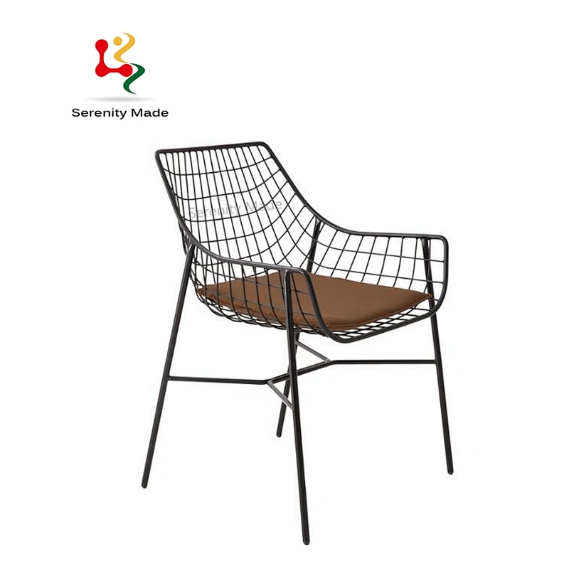 Metal leisure chair