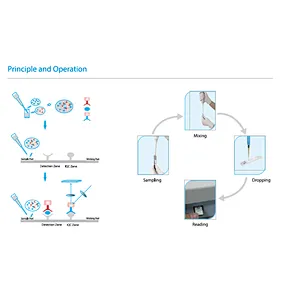 Fluorescence Immunoassay Rapid Quantitative Test