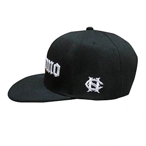 Custom design logo 3D embroidery snapback caps