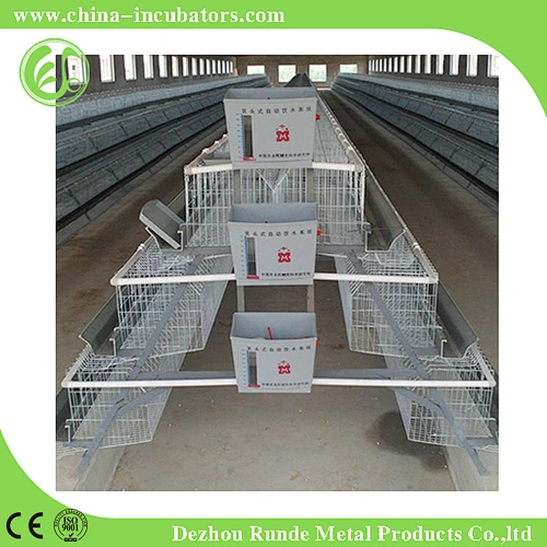 Chicken Cage