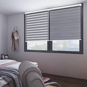 Zebra blinds