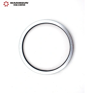 HBT80C 60044257 Concrete Pump Spare Parts Dust Seal Ring