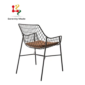 Metal leisure chair