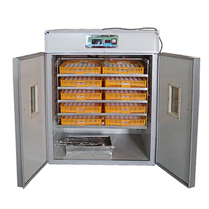 880 chicken egg incubator