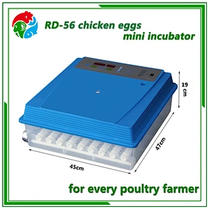 Mini Egg Incubator