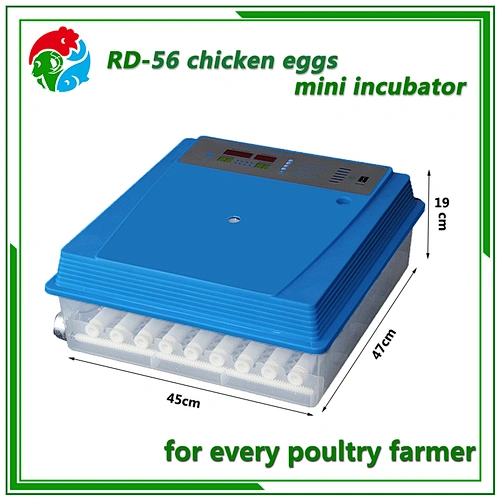 Mini Egg Incubator