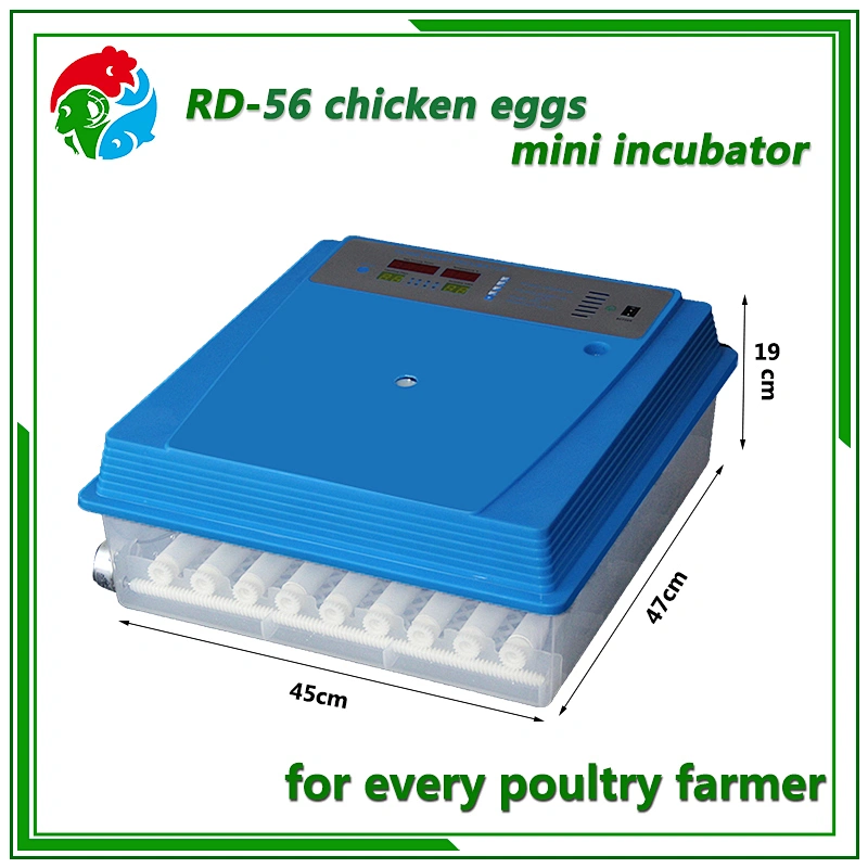Mini Egg Incubator