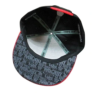 custom snapback with 3D and regular embroidery logo