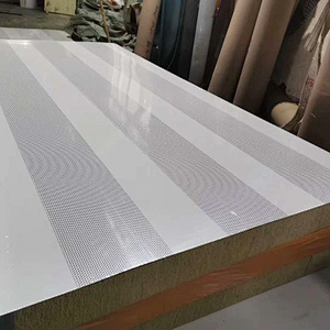 Sound Insulation Acoustic Sandwich Panel for Power House