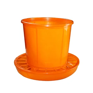 Poultry Feeder & Drinker