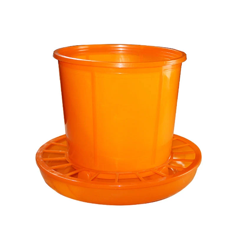 Poultry Feeder & Drinker