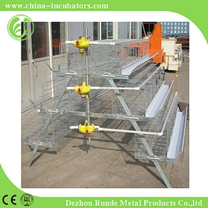 Chicken Cage
