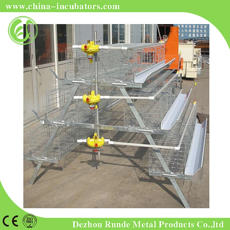 Chicken Cage